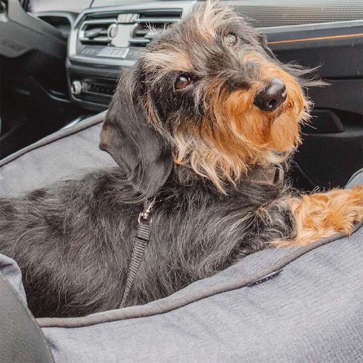 Nobby Autositz KADEK für Hunde